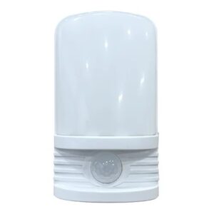 LED Nachtlamp PIR + licht/donker sensor